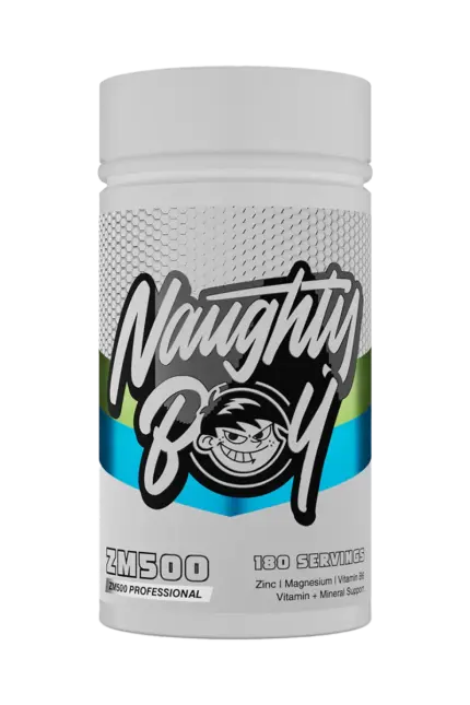 Naughty Boy ZM500 Professional
