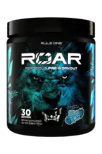 Roar PWO