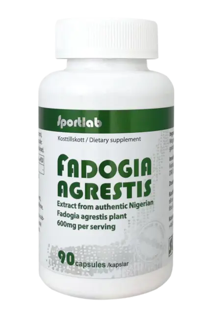 Fadogia Agrestis - 90 kapsler