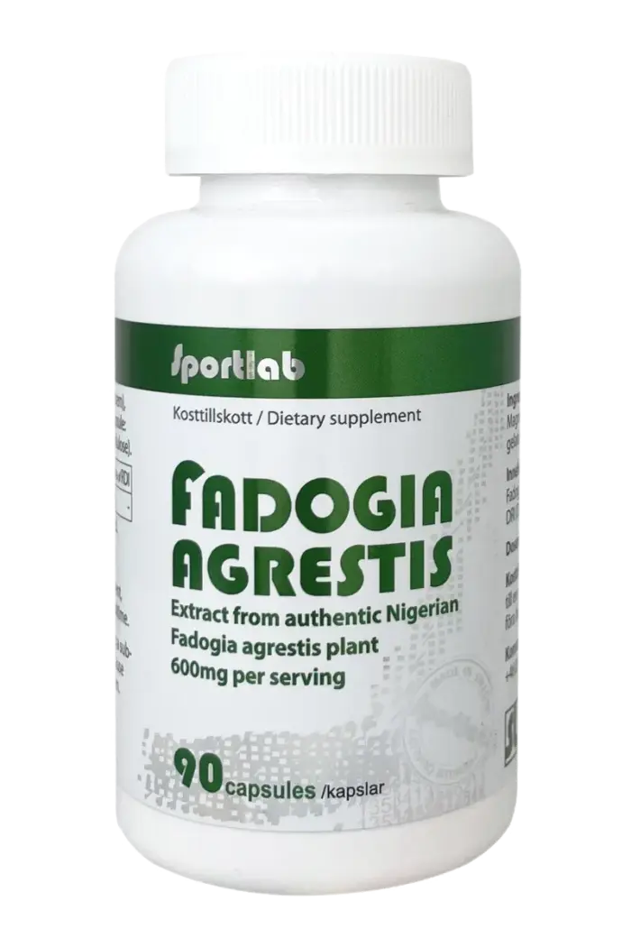 Fadogia Agrestis - 90 kapsler - Bilde 1